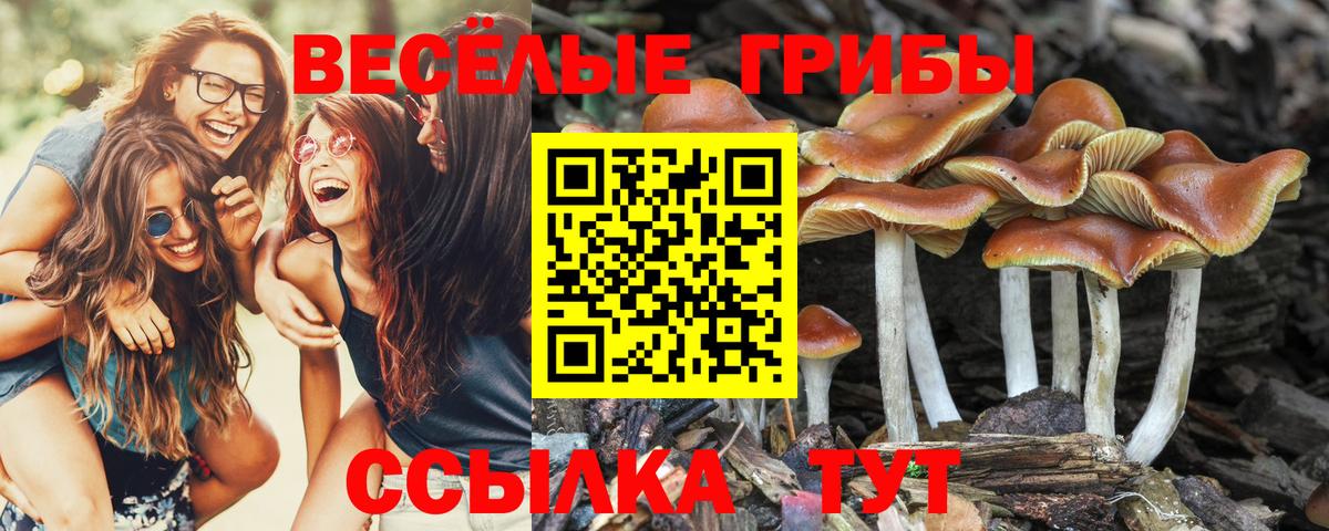 Городец  Галлюциногенные грибы Cubensis  Галлюциногенные грибы ЛСД  Вход с VPN 